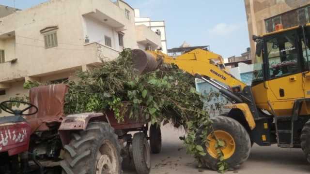 رفع 12 ألف طن مخلفات صلبة في حملات نظافة بالدقهلية