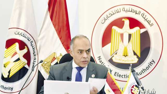 المصريون فرضوا إرادتهم (ملف خاص)