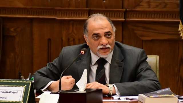 «برلمانية مستقبل وطن» تهنئ الشرطة بعيدها: خالص التقدير للرجال الأوفياء