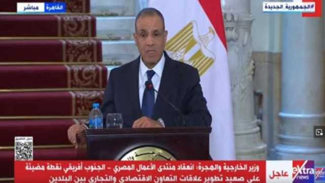 وزير الخارجية: مصلحة مشتركة بين مصر وجنوب أفريقيا لاستخدام أطر إقليمية ودولية