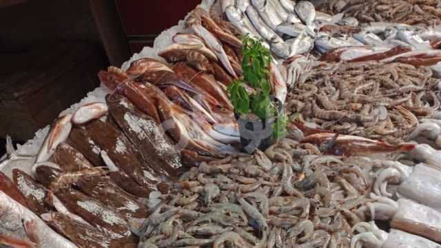 أسعار السمك اليوم السبت 26-8-2023 في الأسواق.. «تراجع البلطي»