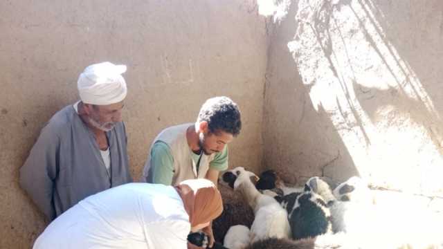 «الزراعة» تختتم الحملة القومية ضد مرض الطاعون في المجترات الصغيرة