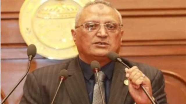 نائب برلماني: العفو الرئاسي عن 600 شخص يعطي أملا في مستقبل أفضل