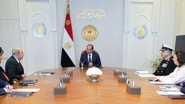 السيسي يستقبل رئيس شركة «داسو» الفرنسية