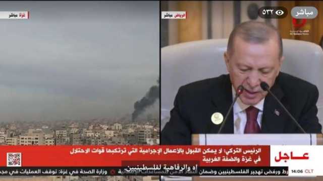 أردوغان: لا يمكن الحديث عن محاولات التطبيع بالمنطقة دون حل للقضية الفلسطينية