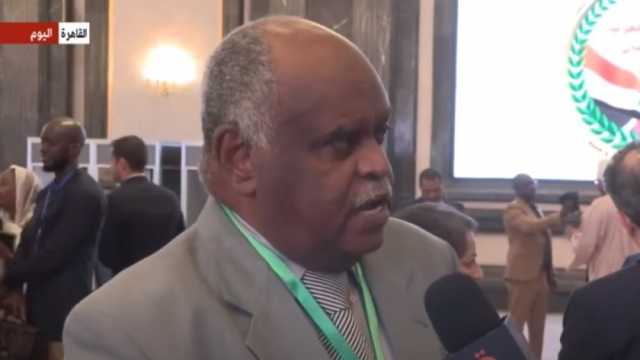 مفكر سوداني: نشكر مصر حكومة وشعبا على دعمها لوقف الحرب