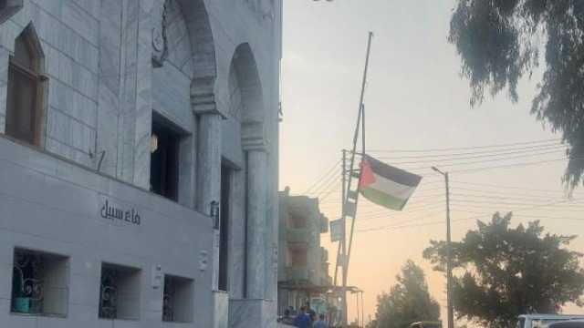 من «بِدين إلى غزة: قلوبنا معكم».. قرية بالدقهلية ترفع علم فلسطين