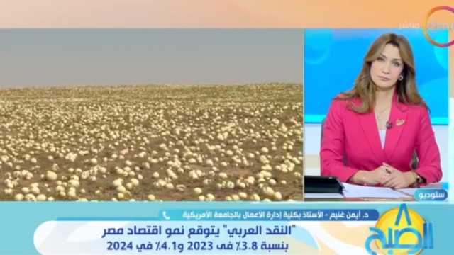 صندوق النقد العربي يتوقع نمو اقتصاد مصر بنسبة 4.1% في 2024