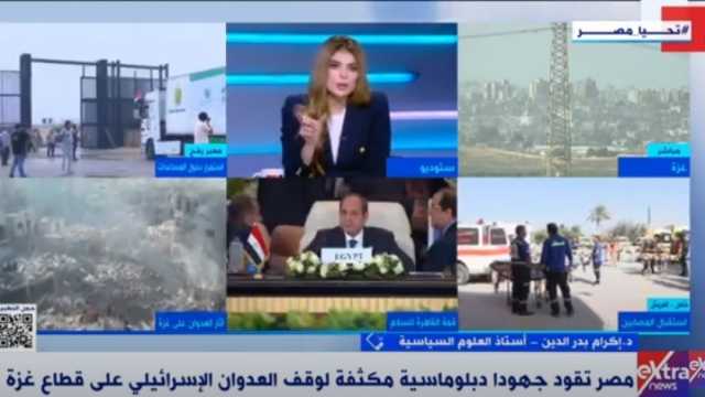أستاذ علوم سياسية: مصر تبذل جهودا مكثفة لوقف العدوان على غزة
