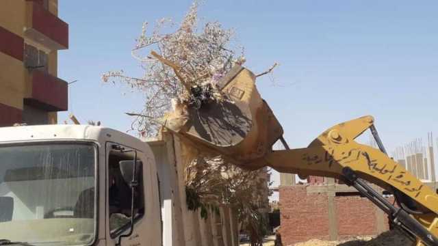 رفع 8 آلاف و500 طن قمامة في حملات بالإسماعيلية خلال أسبوع