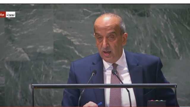 مندوب مصر أمام مجلس الأمن: السلام العادل ضمان الأمن لجميع دول المنطقة
