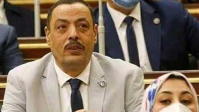 عضو بـ«النواب»: دور مصر لوقف الحرب في غزة لا غنى عنه باعتراف أمريكا