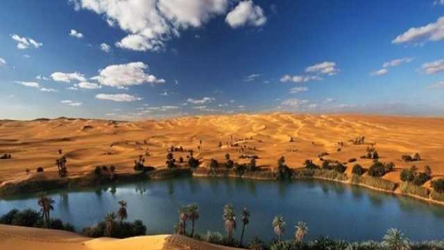 حسام هزاع: مصر مؤهلة للسياحة العلاجية ونحتاج برامج تسويق متخصصة