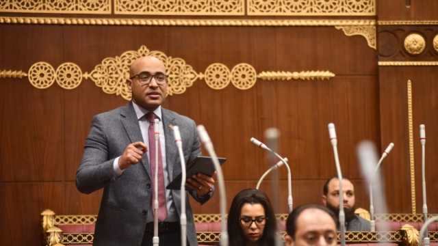نائب «التنسيقية»: الألعاب الإلكترونية صناعة تحتاج للدعم ووسيلة فعالة للتعلم