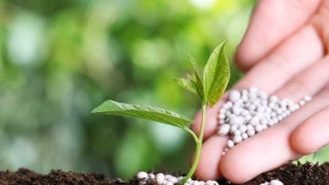 بعد توقيع اتفاقية لإنتاجها.. ماذا تعرف عن الأمونيا الخضراء وأبرز مزاياها؟