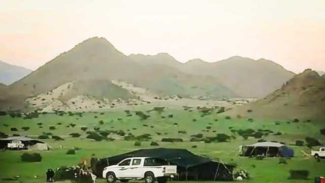 مراعي جنوب البحر الأحمر مقصد للمواطنين في موسم الشتاء