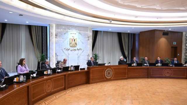 «الوزراء» يكشف حقيقة توقف منظومة التسجيل المسبق للشحنات «ACI»