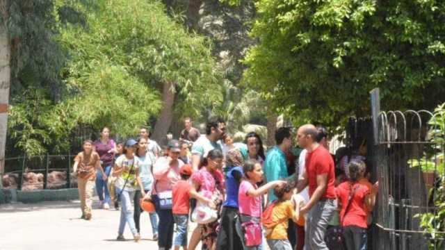 تهاني وولائم وسهرات.. عائلات مسلمة تشارك الأقباط في احتفالات عيد الميلاد
