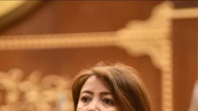 وكيل «خارجية الشيوخ»: زيارتا رئيسي تركيا والبرازيل لمصر تنعش التبادل التجاري
