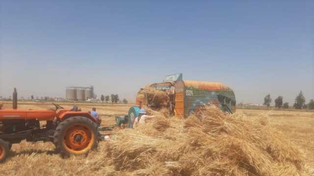 محافظ المنيا: توريد 377 ألف طن قمح منذ بداية الموسم