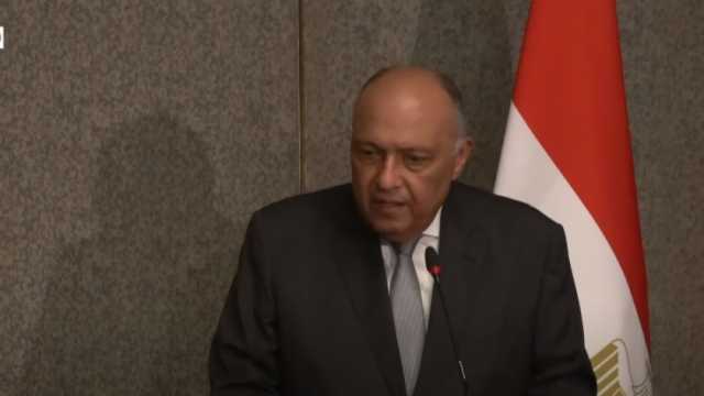 سامح شكري: حجم التجارة العربية اليابانية بلغ 100 مليار دولار في 2021