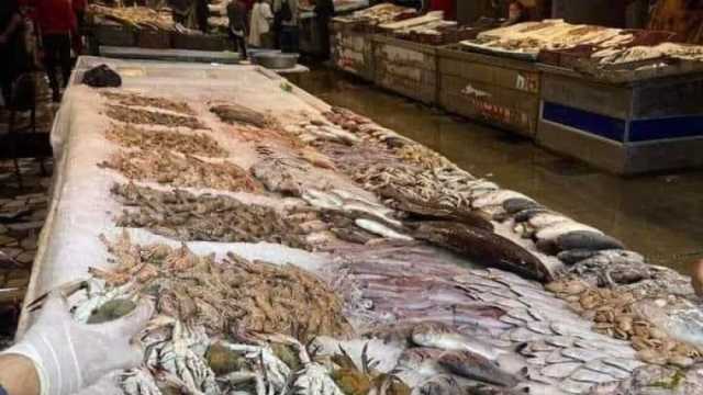 انخفاض أسعار السمك اليوم في مصر بنسبة 50% بعد حملات المقاطعة