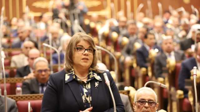 وكيلة «النواب»: العدوان الإسرائيلي على غزة يعمق أزمة الطاقة العالمية