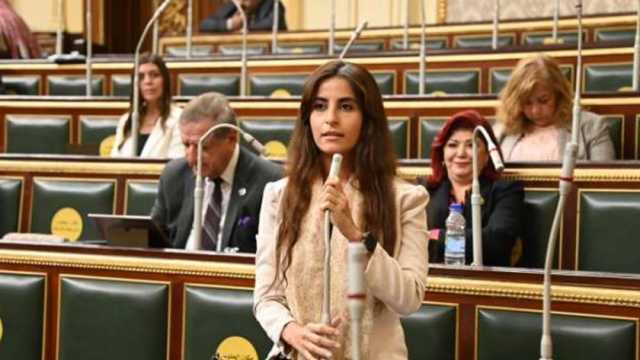 عضو «خارجية النواب» تُطالب الحكومة الجديدة بالتركيز على الإصلاحات الاقتصادية