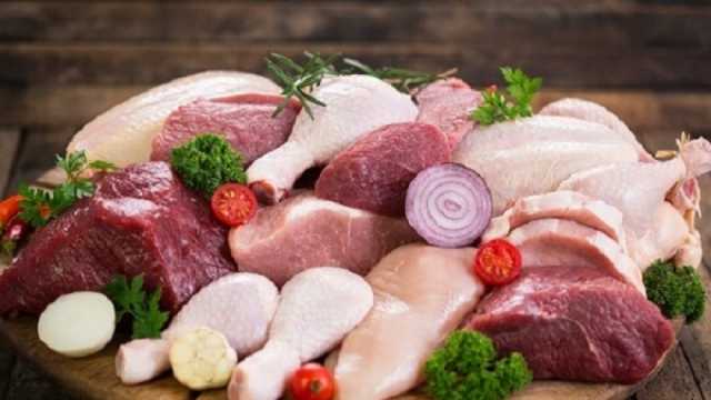 أسعار الفراخ في بورصة الدواجن الیوم الثلاثاء 18-6-2024.. «البلدي بـ135 جنيها»