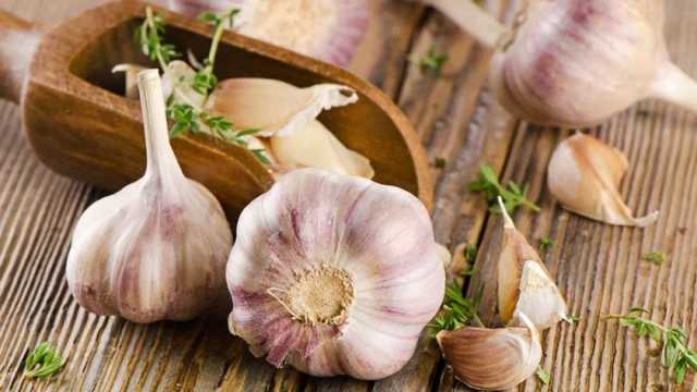 5 فوائد مدهشة للثوم في مواجهة برد الشتاء بالمحافظات الساحلية