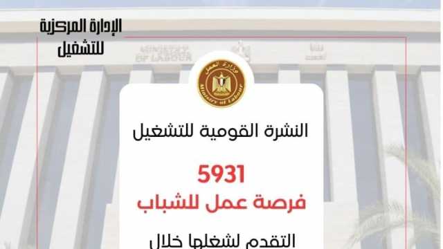 5931 وظيفة شاغرة في 39 شركة بالمحافظات.. اعرف التخصصات المطلوبة