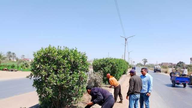 زراعة أشجار مثمرة وزينة في 3 مراكز بالمنيا ضمن المبادرة الرئاسية