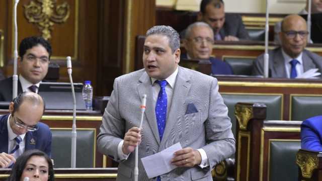 عضو «حملة السيسي» يشكر المصريين بالخارج على المشاركة بكثافة في الانتخابات الرئاسية 2024