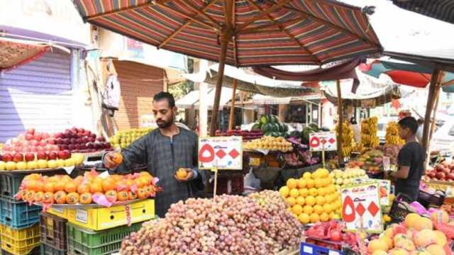 تراجع سعر البصل والطماطم اليوم في الأسواق المحلية اليوم الأربعاء