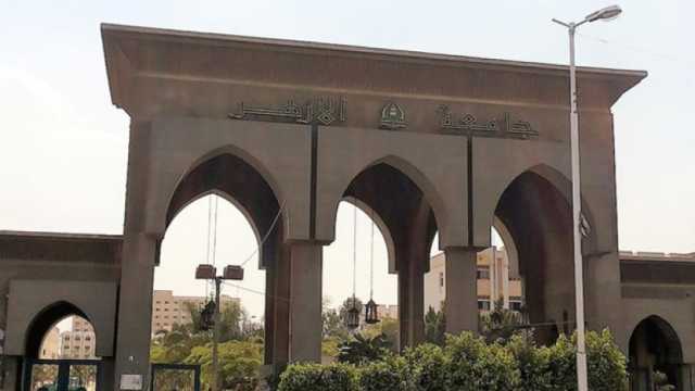 «التضامن» تطلق حزمة برامج لتأهيل 10 آلاف طالب لسوق العمل