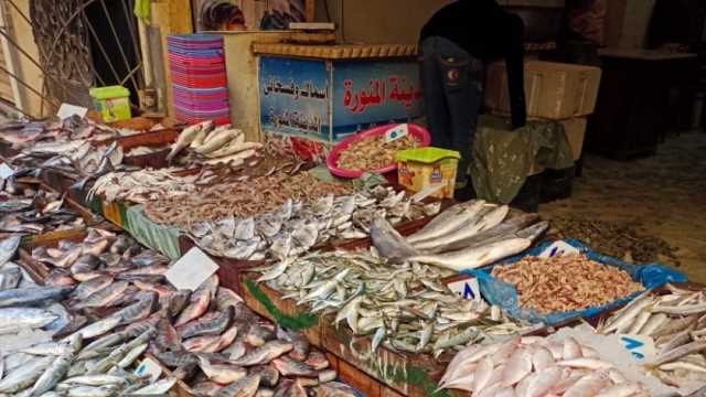 تراجع أسعار الأسماك بالأسواق.. «البلطي» بـ73.48 جنيه