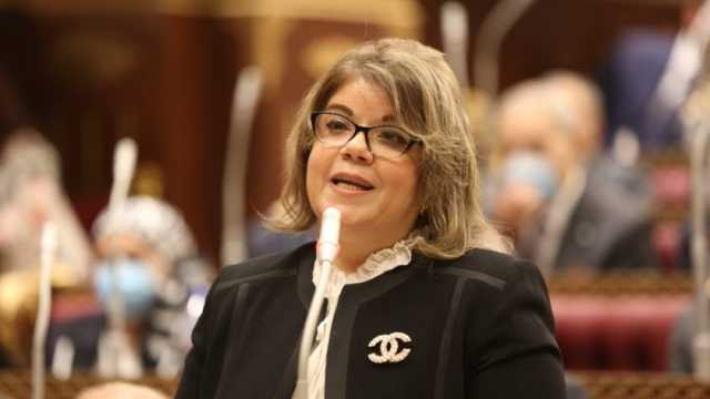 وكيل مجلس الشيوخ: الدولة لديها رؤية لتحسين إنتاجية القطن المصري