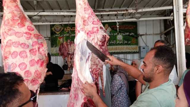 أسعار اللحوم اليوم الأربعاء 13-11-2024.. «ضأن وبتلو وكندوز»
