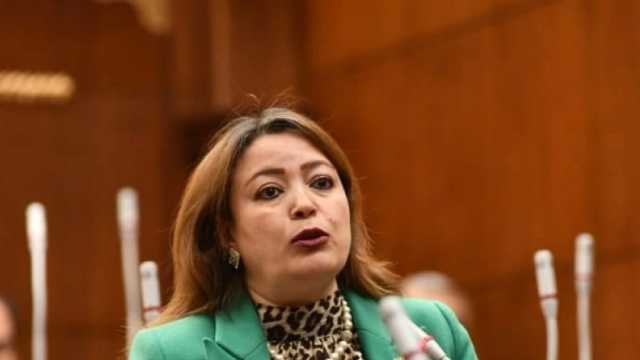 أمين سياسية «حماة الوطن»: الحكومة الجديدة مطالبة بتنفيذ مخرجات الحوار الوطني