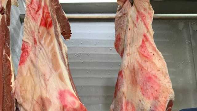 «بيطري القاهرة»: ضبط 875 كيلوجرام لحوم مذبوحة خارج المجازر