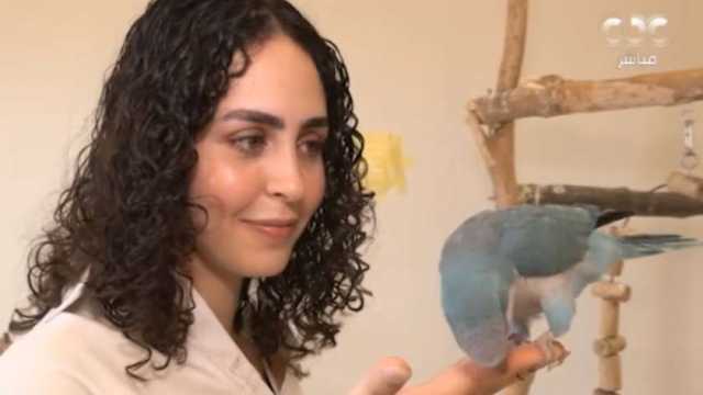 تربيها وتدربها وتحاورها.. «سارة» تحلم بإقامة حفلات غنائية لـ«الببغاوات»