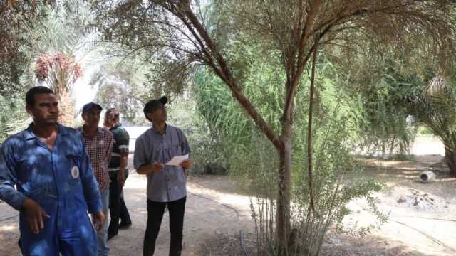 لجنه من «زراعة أسيوط» لتقييم مزارع جامعة جنوب الوادي (صور)