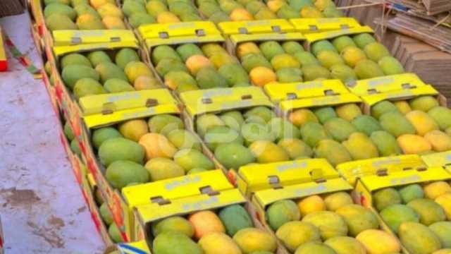 أسعار المانجو في سوق العبور اليوم السبت 26-8-2023.. «الصديقة» بـ17 جنيها