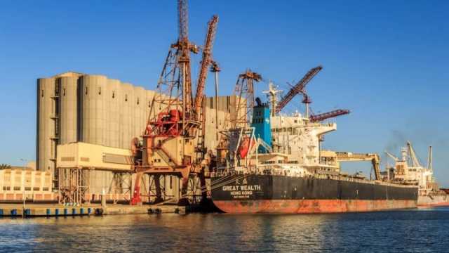مصر تتسلم 53 ألف طن قمح من أوكرانيا عبر ميناء دمياط البحري 