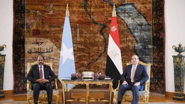 نائبة حماة الوطن: العلاقات المصرية الصومالية تتميز بالقوة والمتانة على مر التاريخ