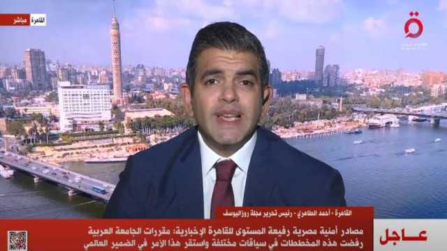 أحمد الطاهري: مصر ستتصدى لدعوات النزوح الجماعي تجاه أراضيها