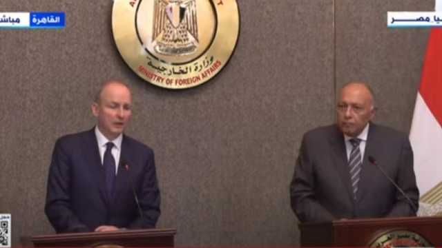 وزير الخارجية يطالب دول العالم بالالتزام بالقانون الدولي في أزمة غزة