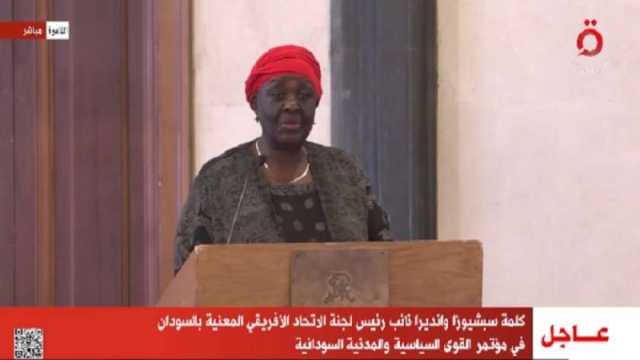 ممثلة الاتحاد الأفريقي: نحث كل الأطراف لتجنب أي مزيد من الصراع بالسودان