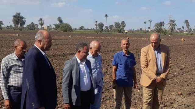 «الزراعة» تتابع زراعات حقول القمح في محافظات الفيوم وقنا والأقصر