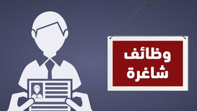 وظائف شاغرة في وزارة العمل برواتب مجزية.. اعرف طريقة التقديم